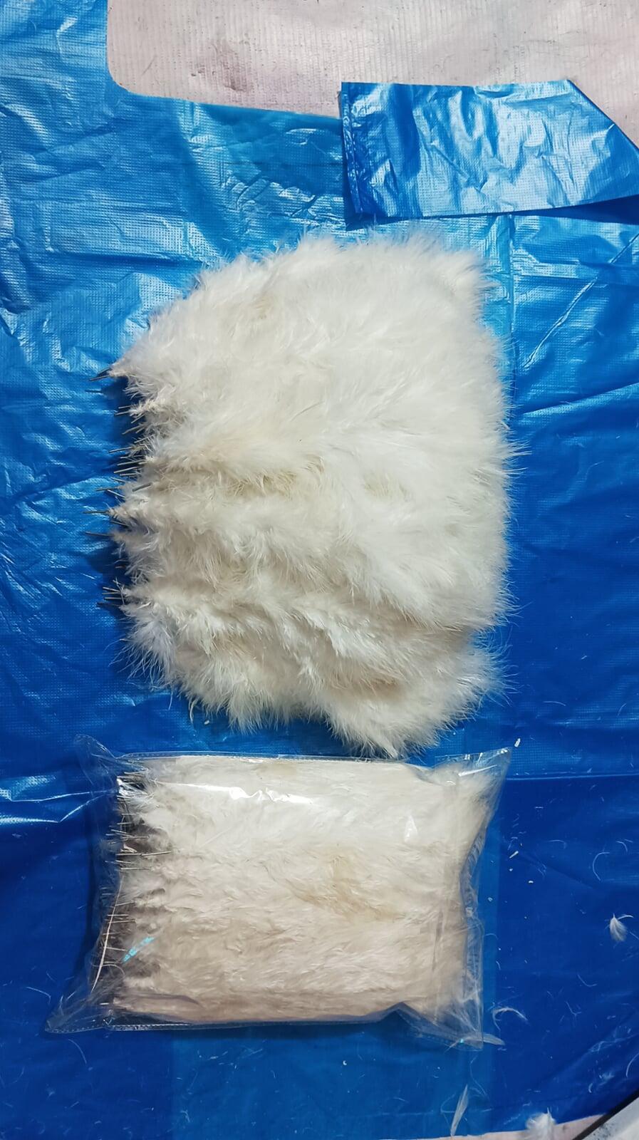 feather kalgi supplier India