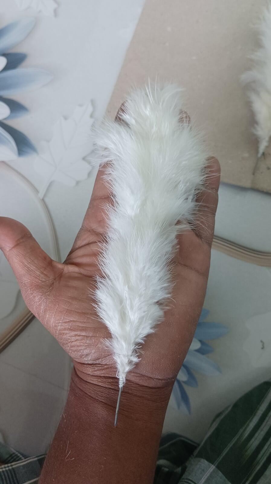bulk feather supplier India