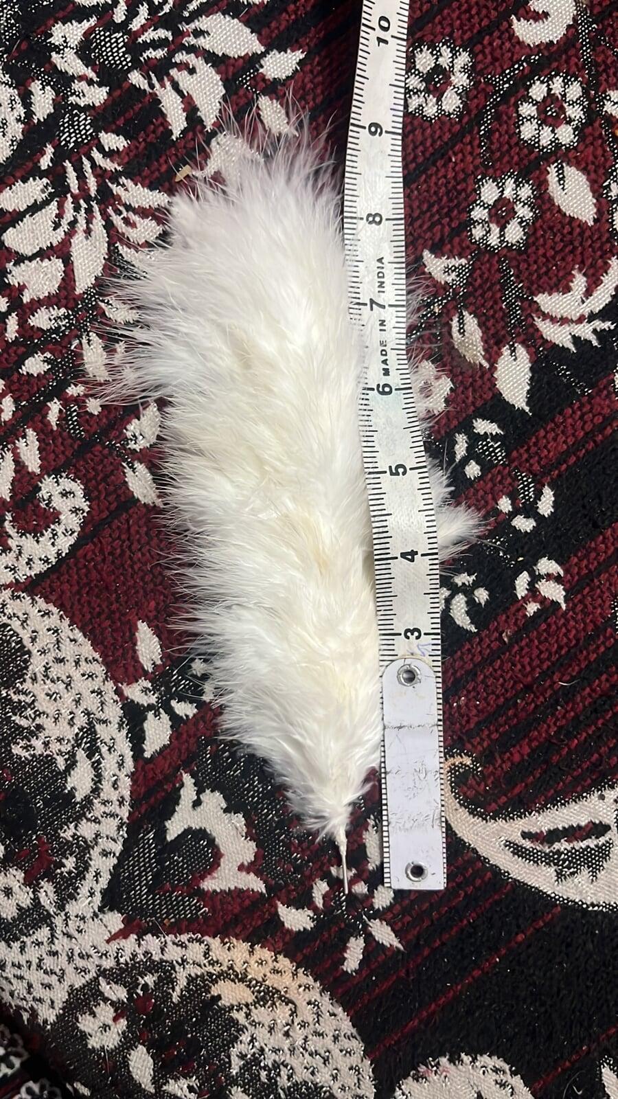 feather for wedding signing pen