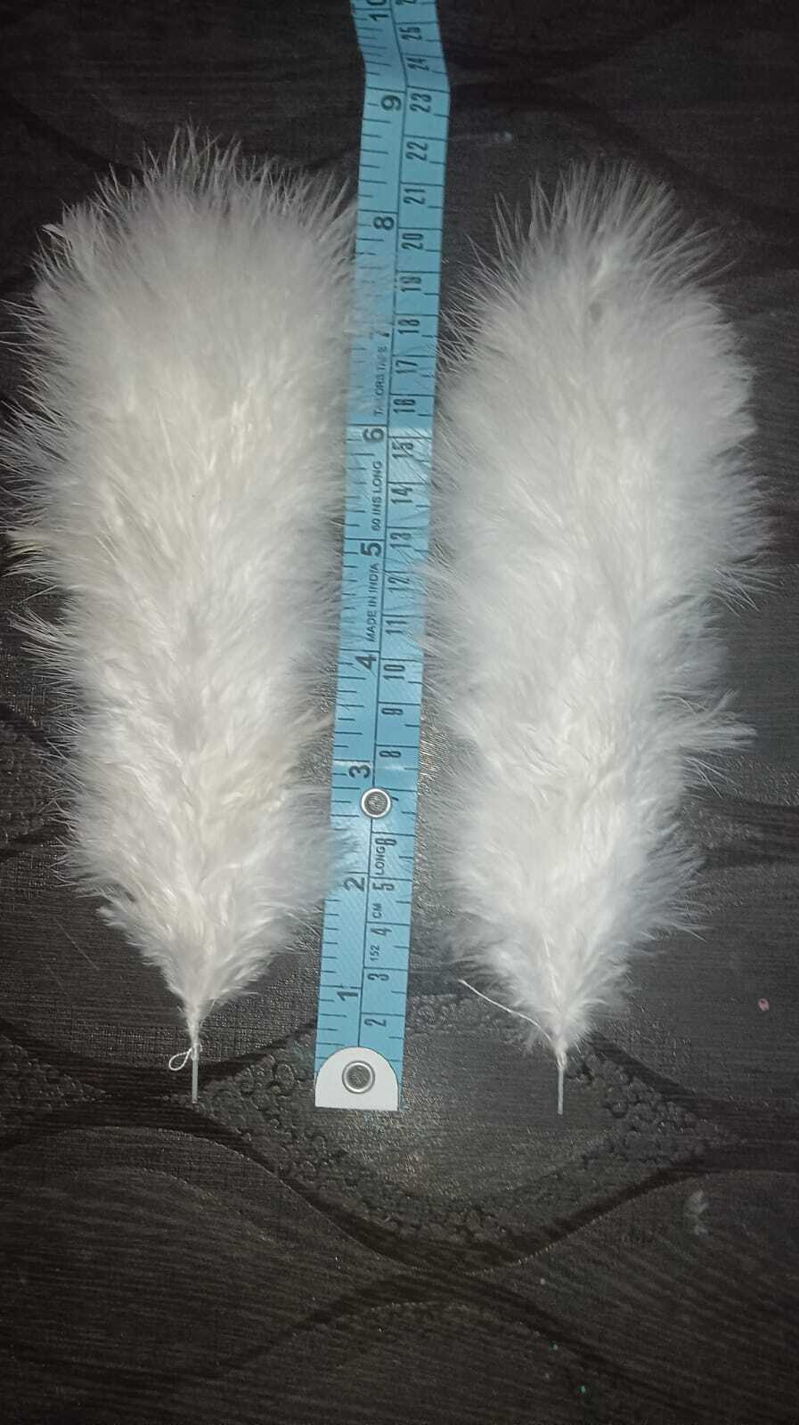 Nikah pen feather