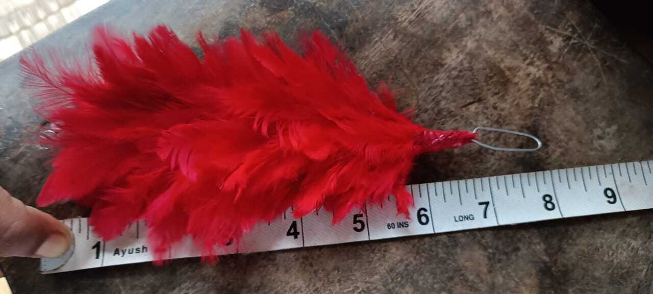 NCC feather hackle