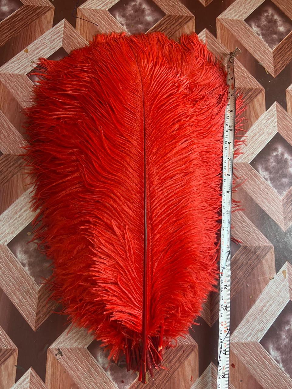 Red Ostrich Feather Wholesale in delhi