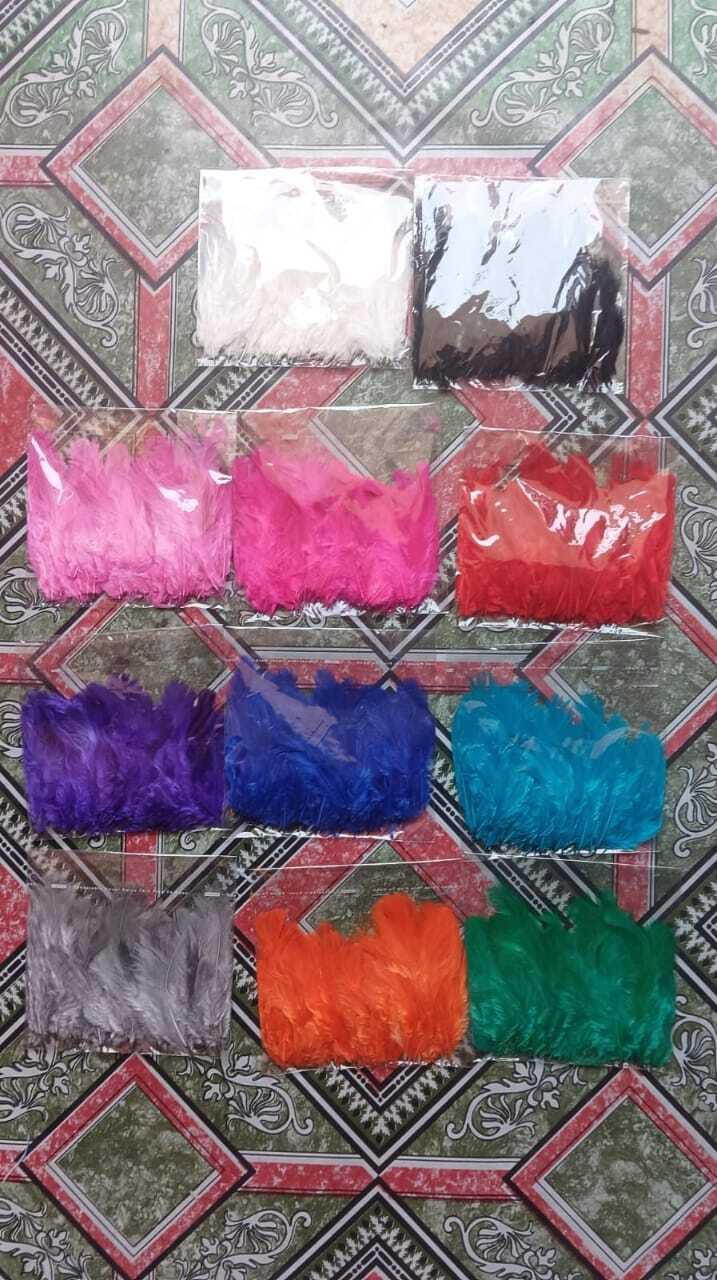 Feather for craft