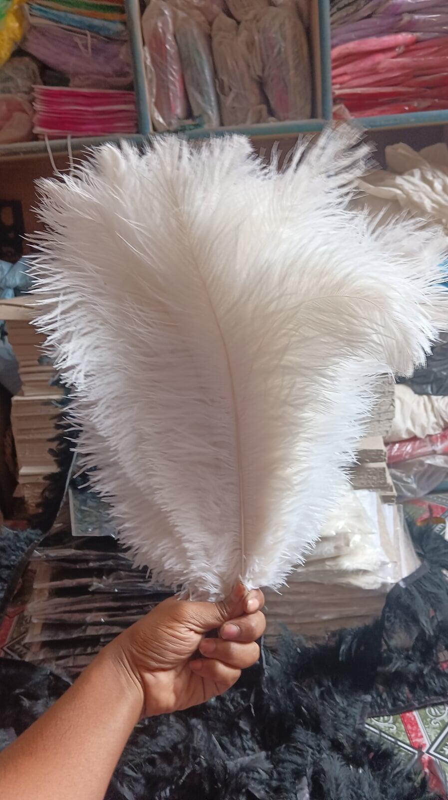 White Ostrich Feather Wholesale in delhi