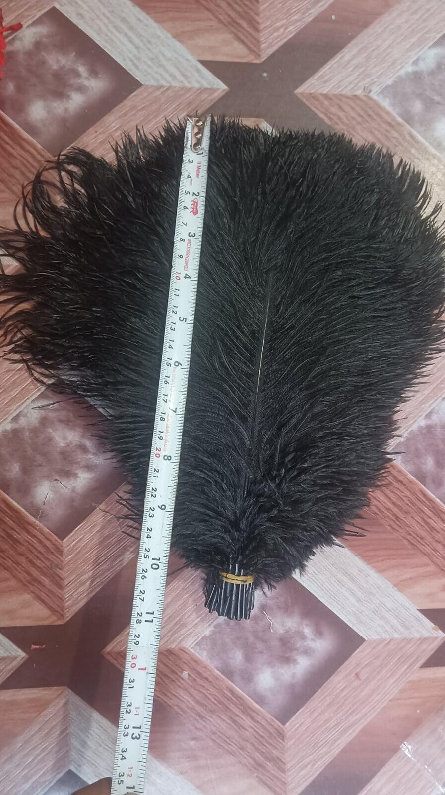 Black Ostrich feather 10-12 inches wholesaler