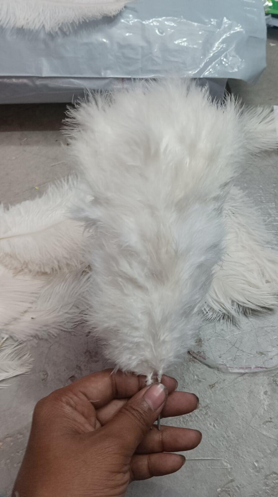 Nikah pen feather, safa feather, pagdi feather