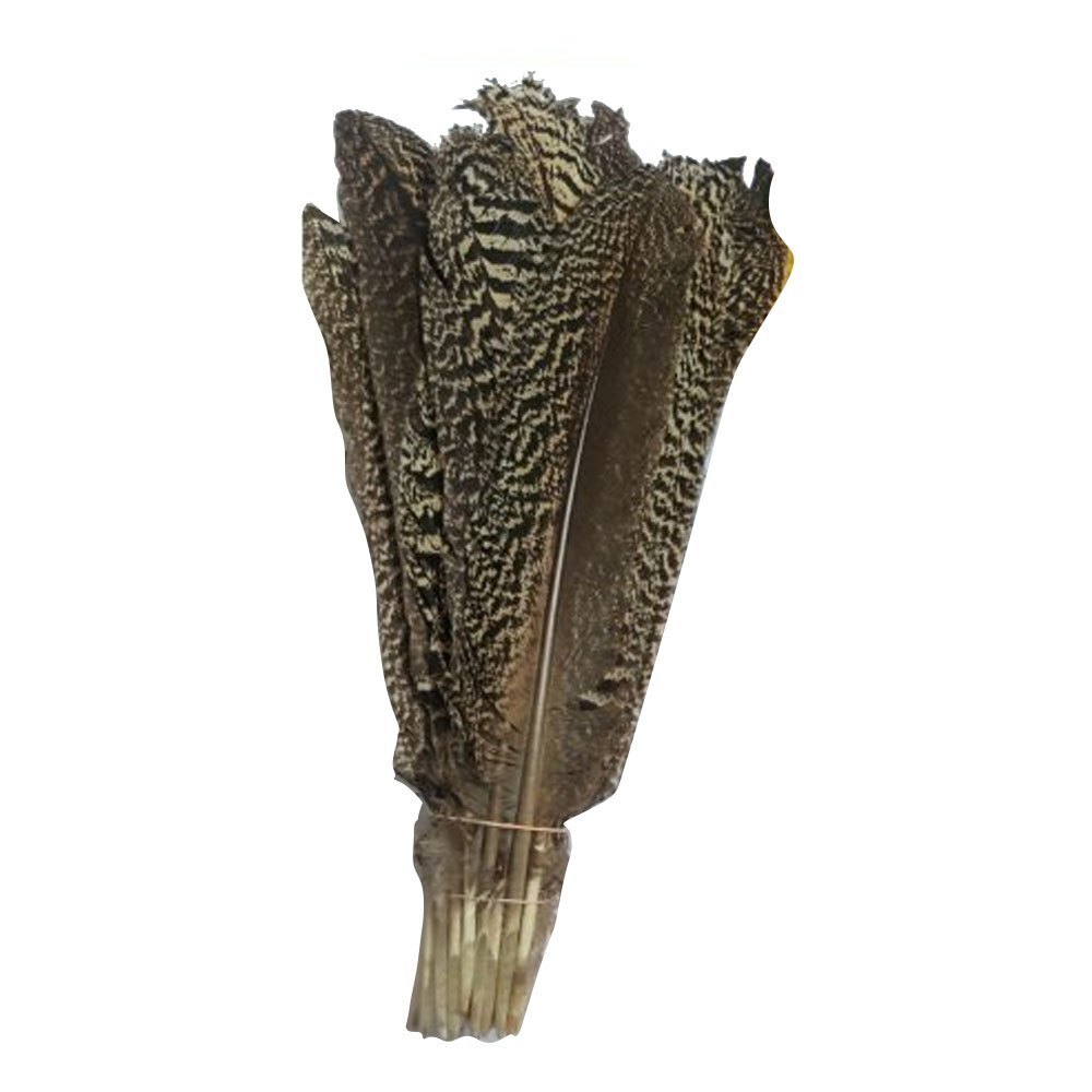 Owl feather