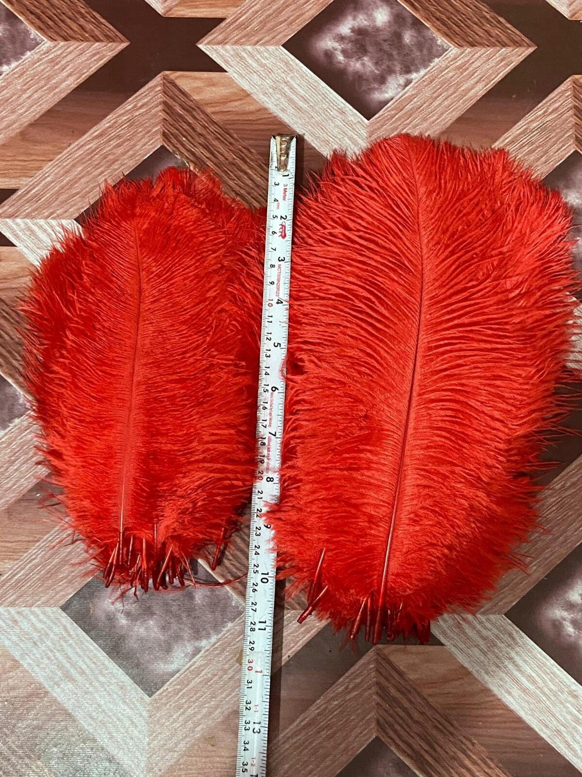 Red Ostrich feather wholesaler in delhi