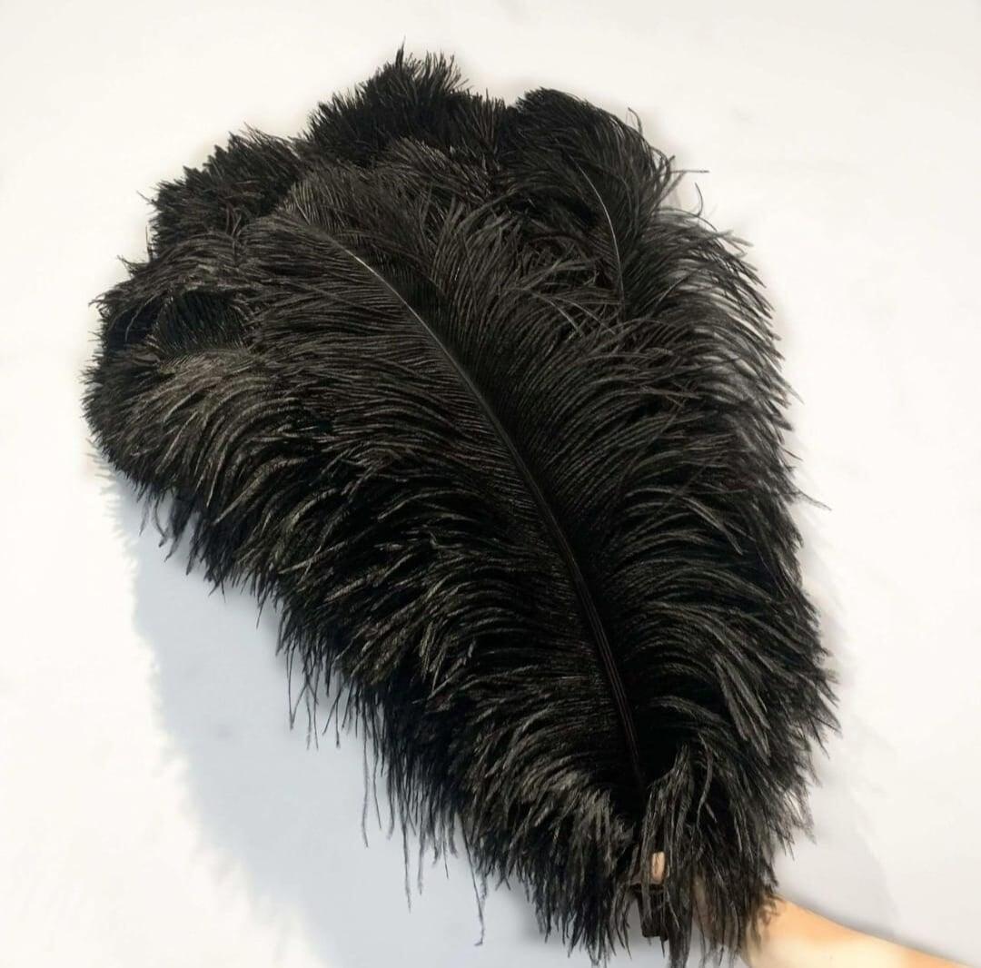 24 inches black Ostrich feather wholesaler in delhi