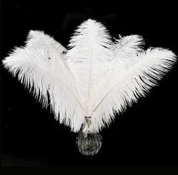White Ostrich Feather Wholesale